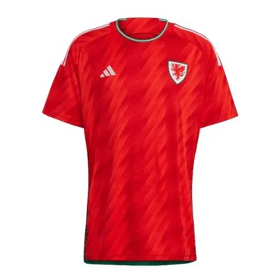 Wales 2022 Home kit