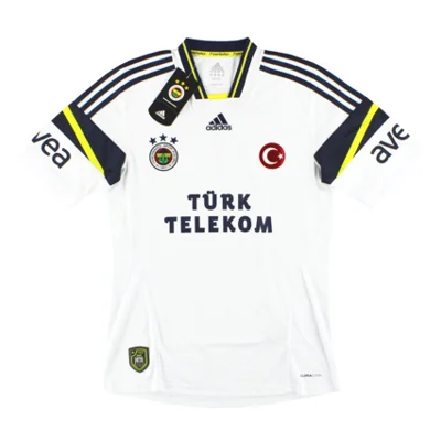 Fenerbahçe İstanbul 2013 Away kit