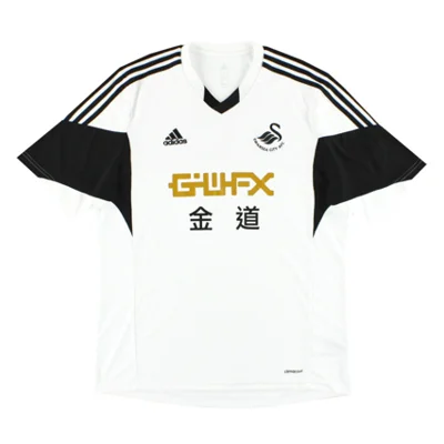 Swansea City AFC